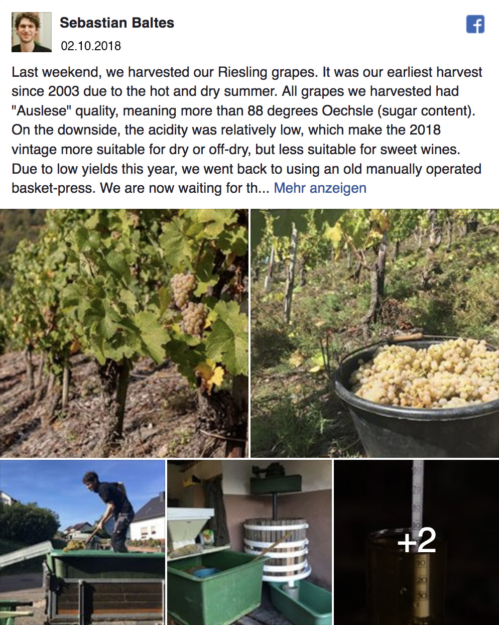 Facebook-Beitrag vom 2.10.2018: Riesling-Lese 2018, früheste Ernte seit 2003, Auslese-Qualität, alte Korbpresse