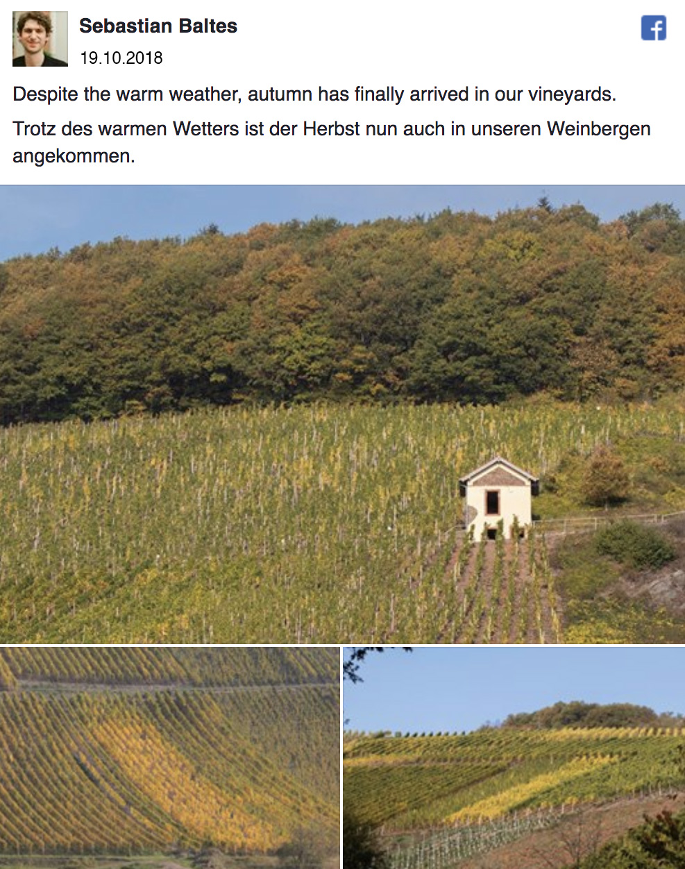 Facebook-Beitrag vom 19.10.2018: Drei Fotos herbstlich gefärbter Weinberge mit Weinbergshäuschen