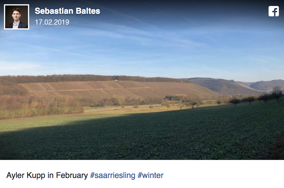 Facebook-Beitrag vom 17.2.2019: Winterfoto der Ayler Kupp im Februar mit kahlen Rebzeilen