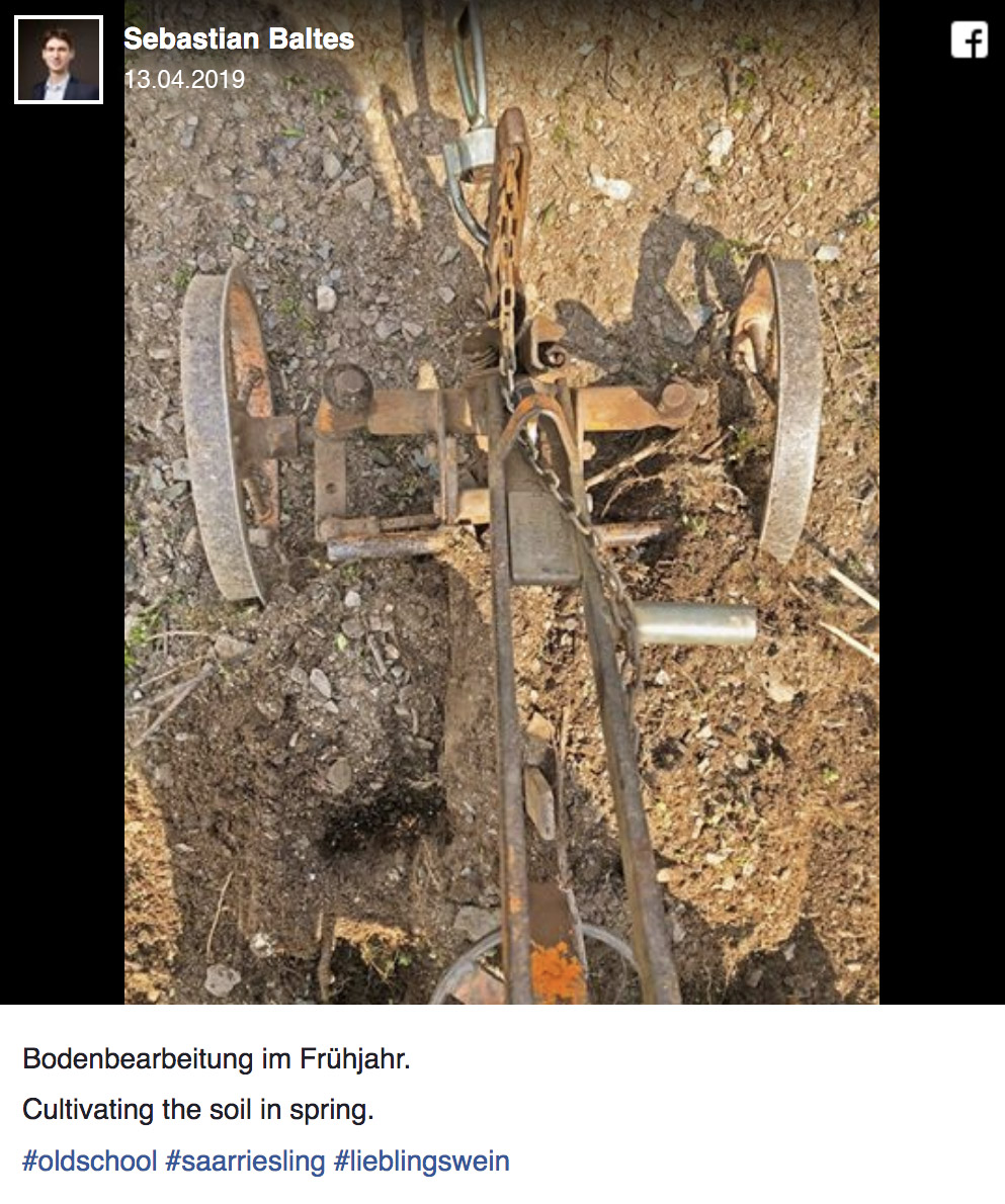 Facebook-Beitrag vom 13.4.2019: Altes Bodenbearbeitungsgerät im Weinberg im Frühjahr