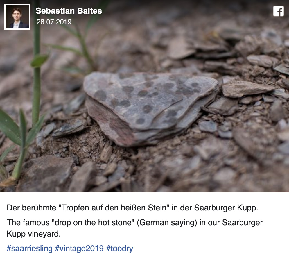 Facebook-Beitrag vom 28.7.2019: Regentropfen auf heißem Schieferstein in der trockenen Saarburger Kupp