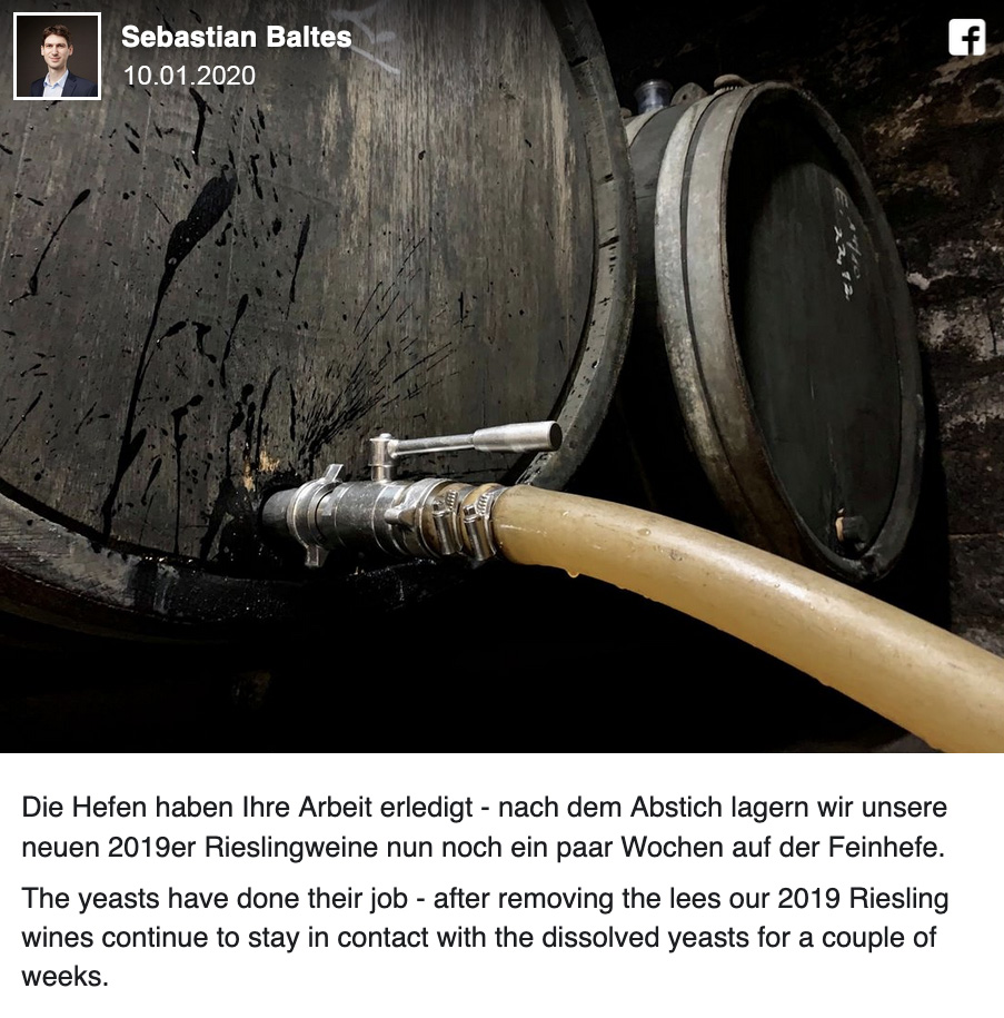 Facebook-Beitrag vom 10.1.2020: Abstich der 2019er Rieslinge im Fasskeller, danach Lagerung auf der Feinhefe